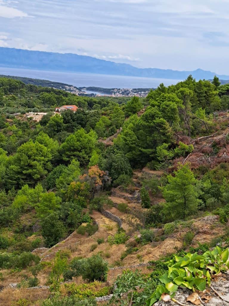 Hillside above Vrisnik with a view to the sea