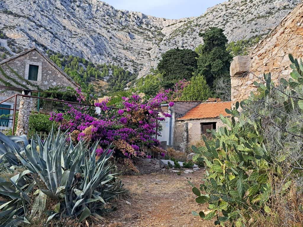 Stone house with bougainvillea below the cliffs at Ivan Dolac