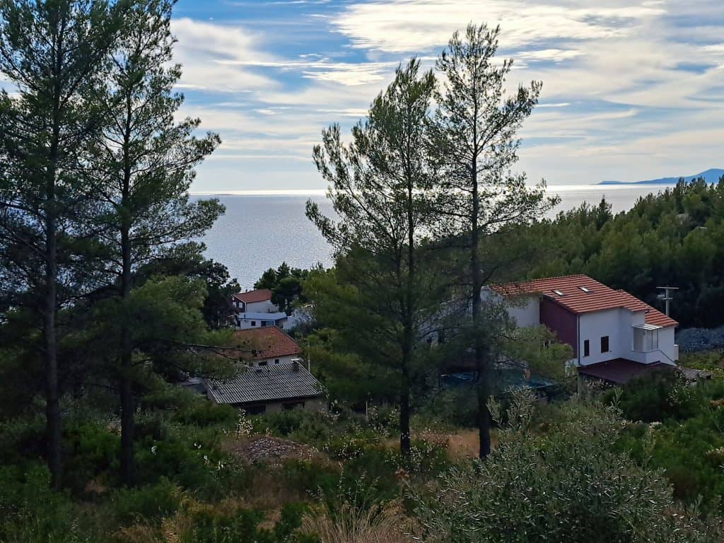 Houses among pines above the sea in Ivan Dolac