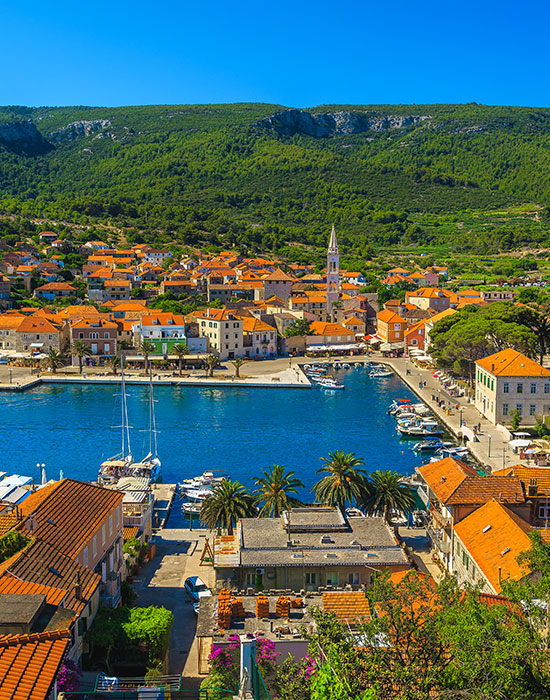 jelsa otok hvar