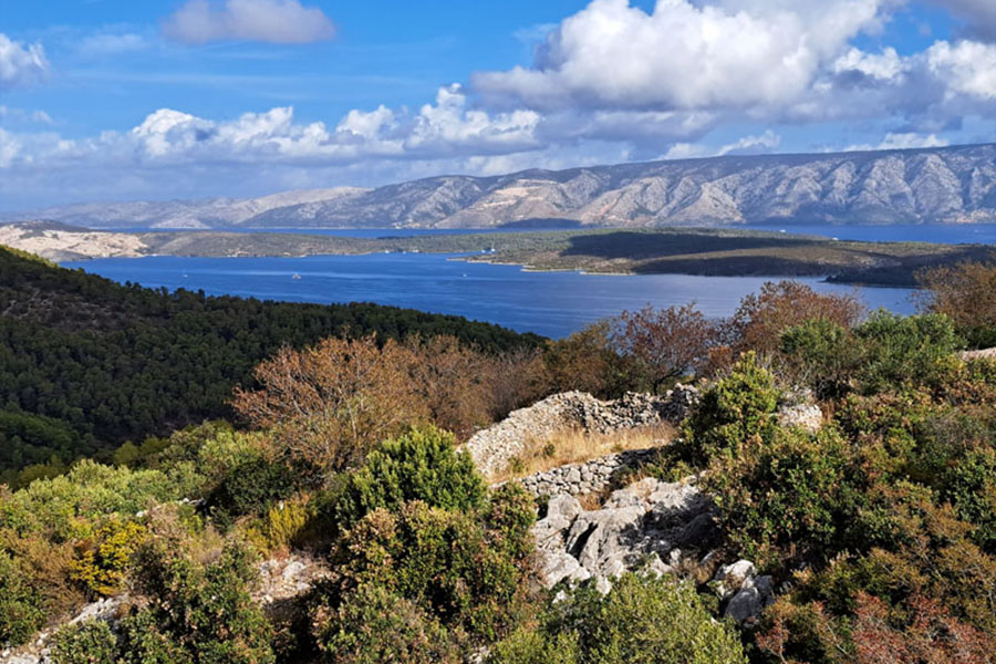 selca kod starog grada hvar