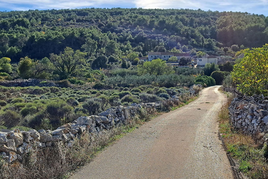 zastrižišće hvar