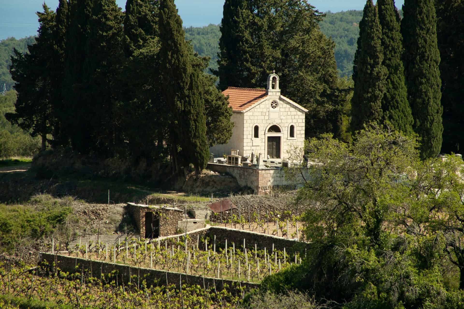 Hvar chapel among vineyards
