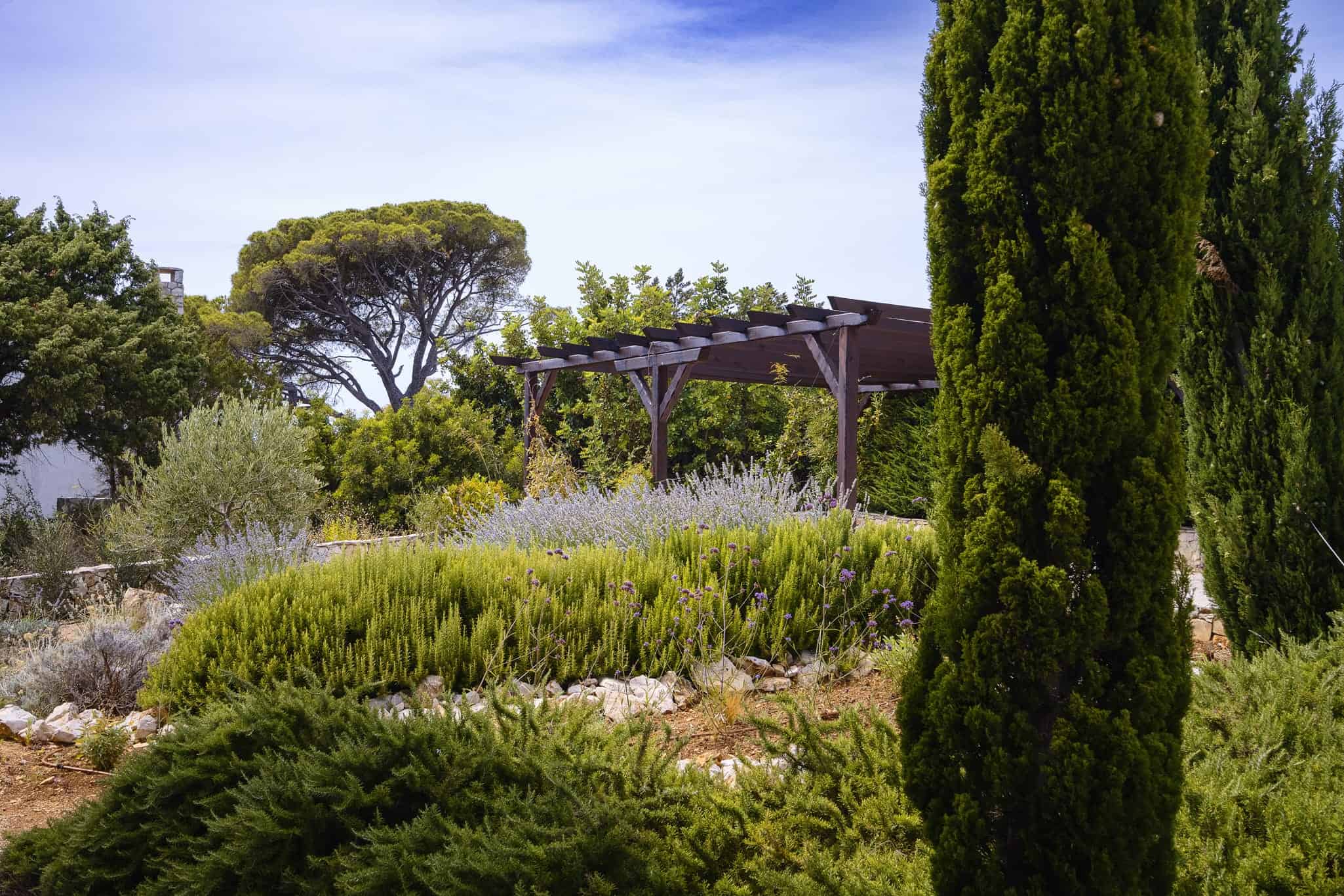 Villa Pelagos, Hvar Stone Beauty Hvar, photo 7