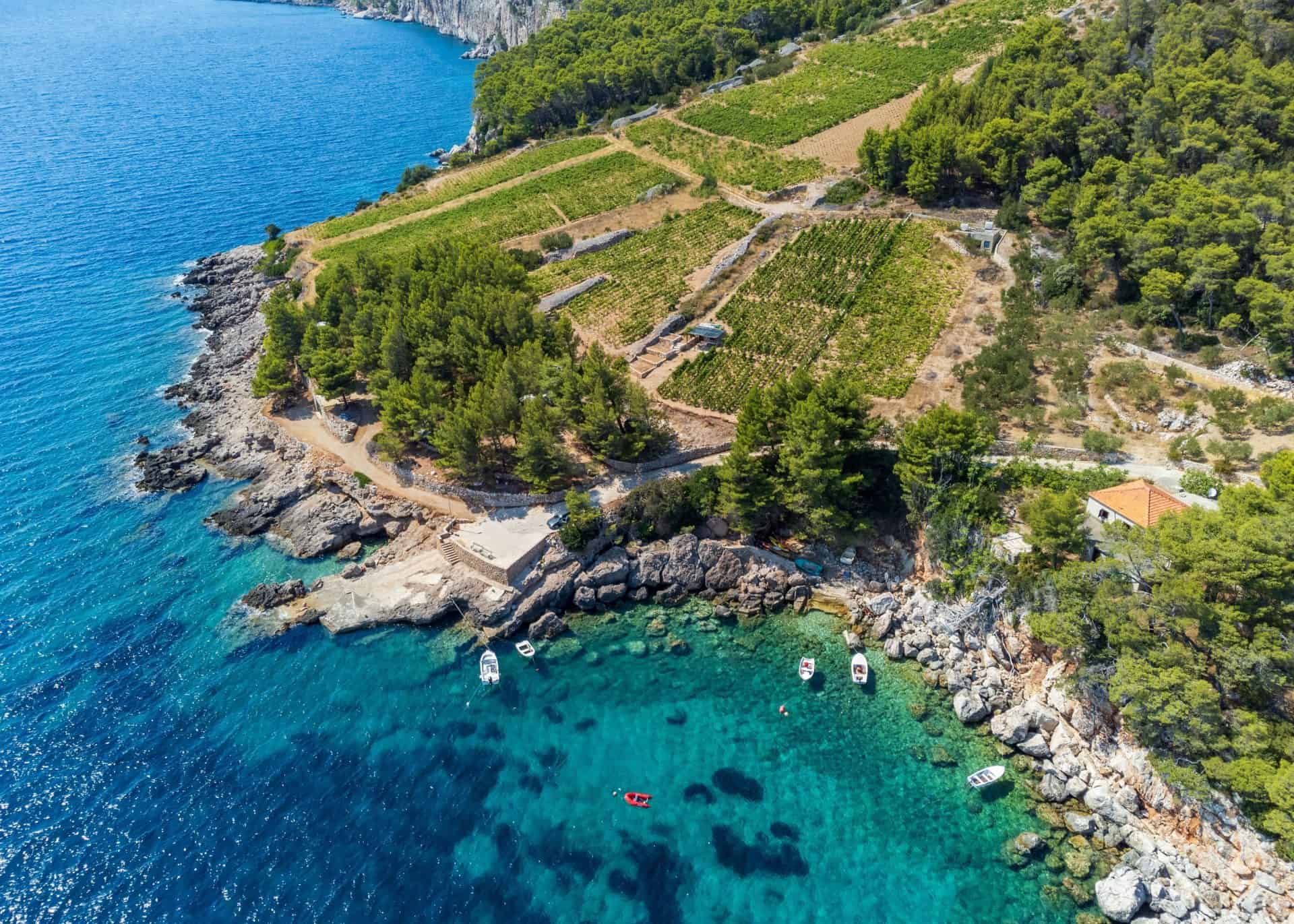 South coast vineyard cove aerial
