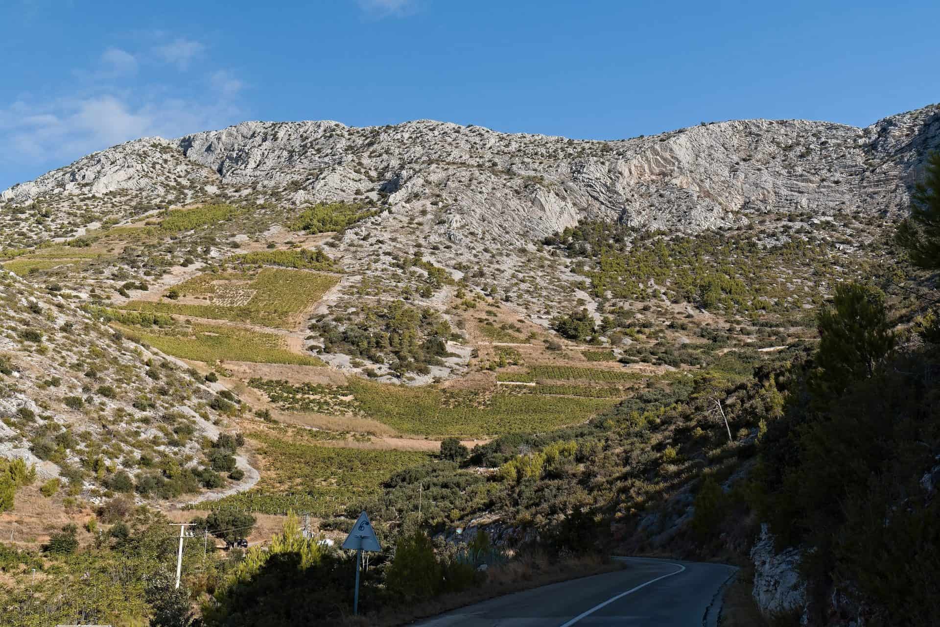 South slope vineyards under cliffs