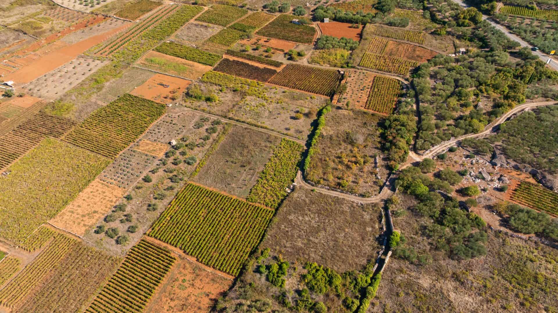 Aerial view of the field pattern of the Stari Grad Plain