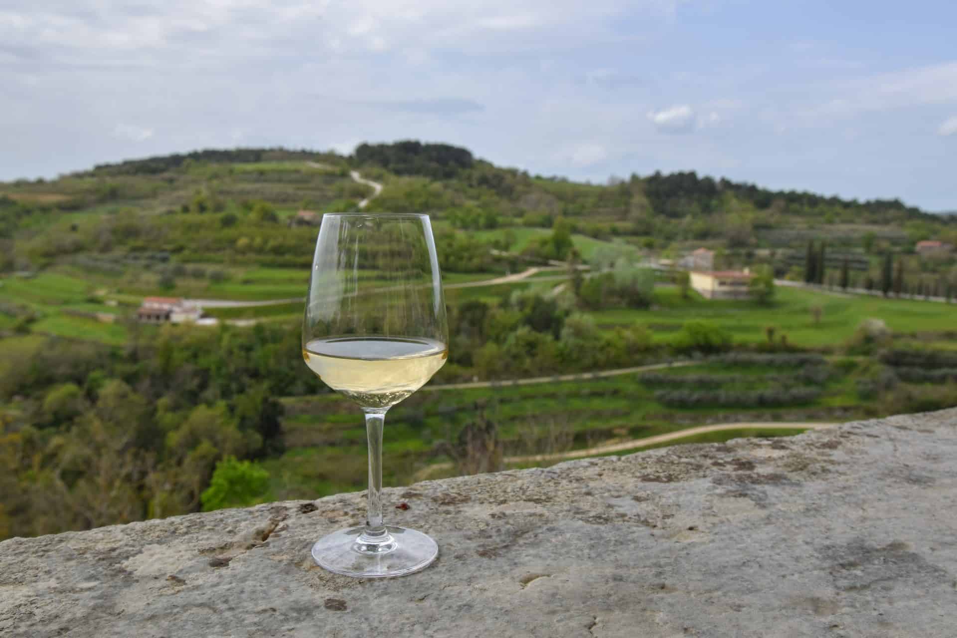 A glass of white wine on a stone wall above vineyard terraces