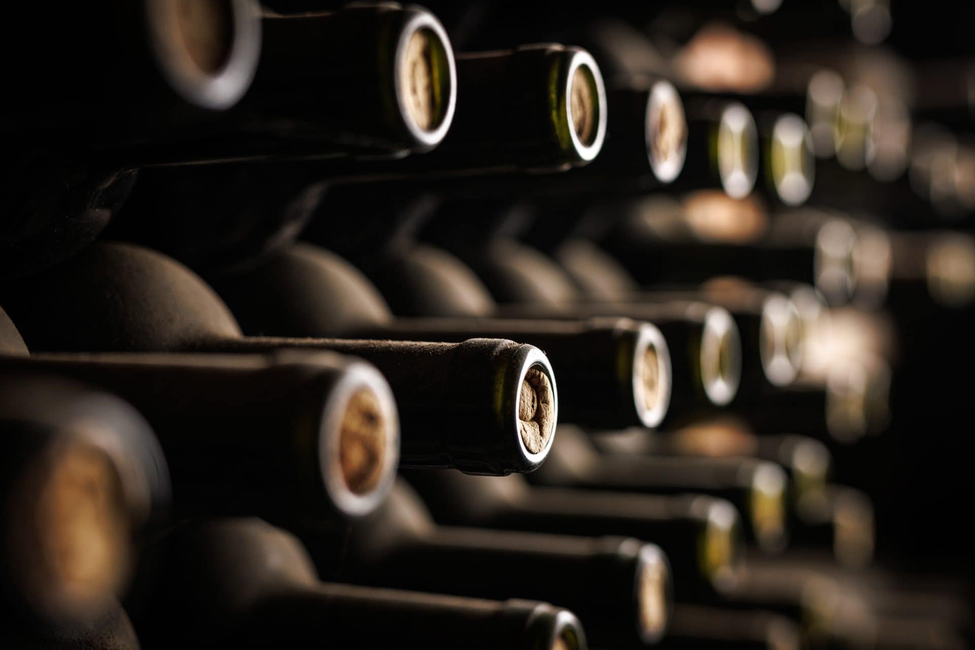 Wine bottles resting in a cellar rack