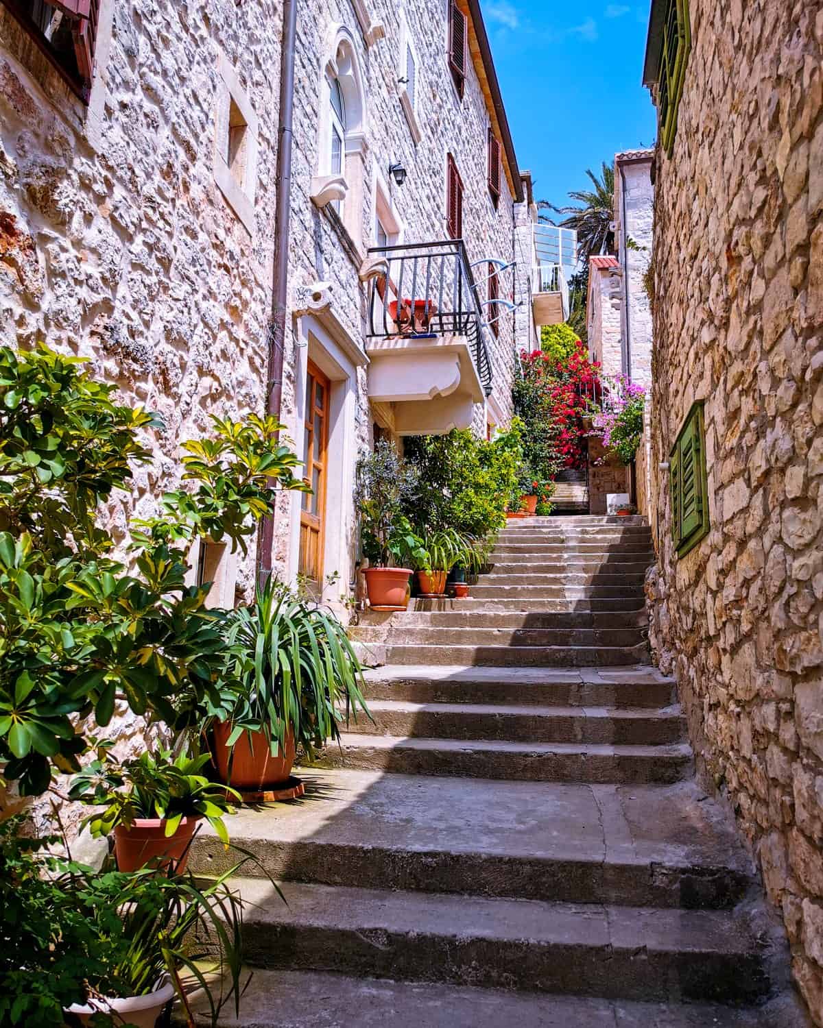 A stone stairway in the old town of Hvar, lined with potted plants and bougainvillea