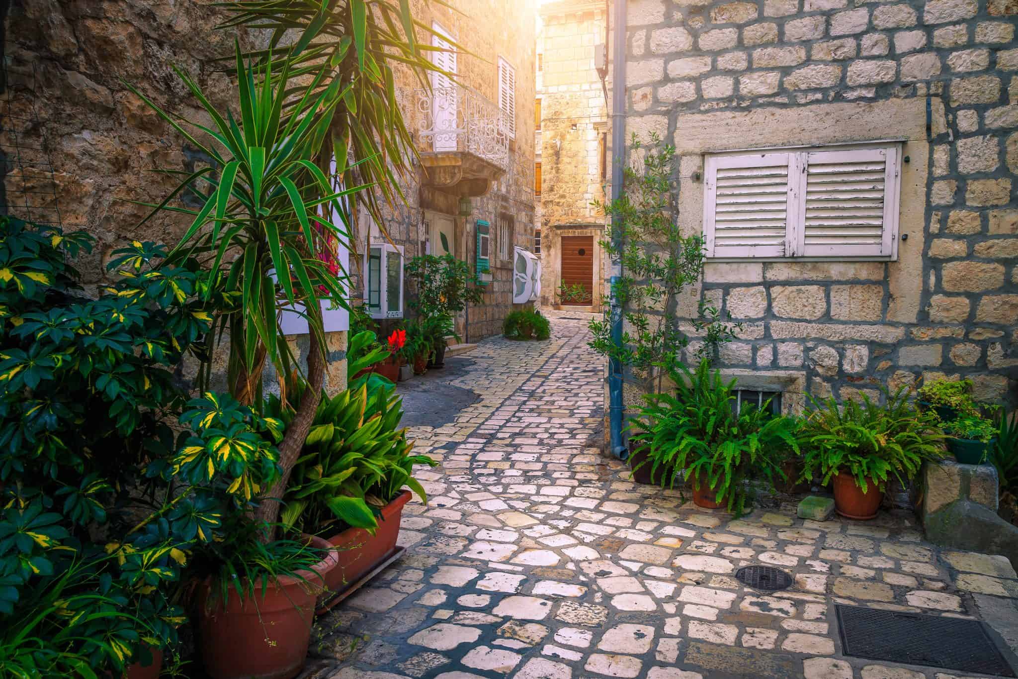 A stone lane with flowers and potted plants in the old town of Hvar, a few streets from the garden
