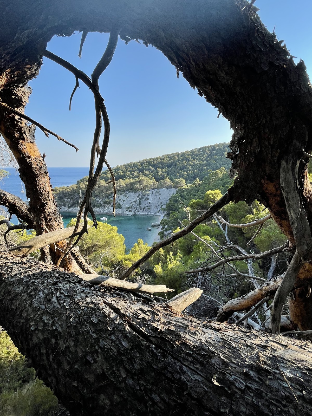Borče beach, Hvar island, Croatia - photo 4