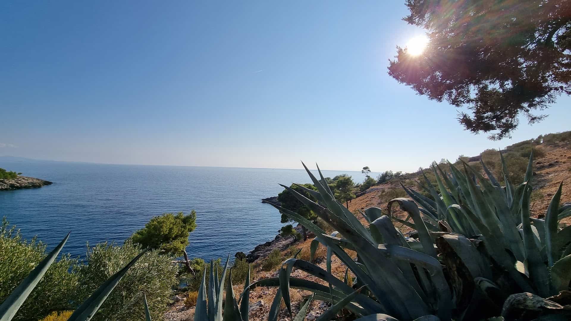 Dubovica strand, Hvar, bild 3