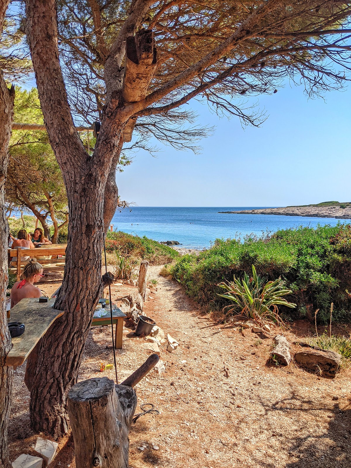 Jerolim beach, Hvar island, Croatia - photo 4