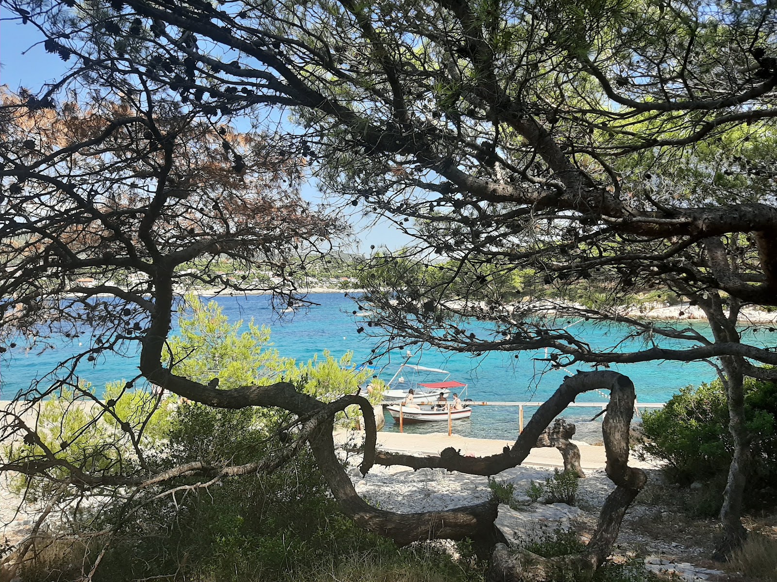 Jerolim beach, Hvar island, Croatia - photo 5