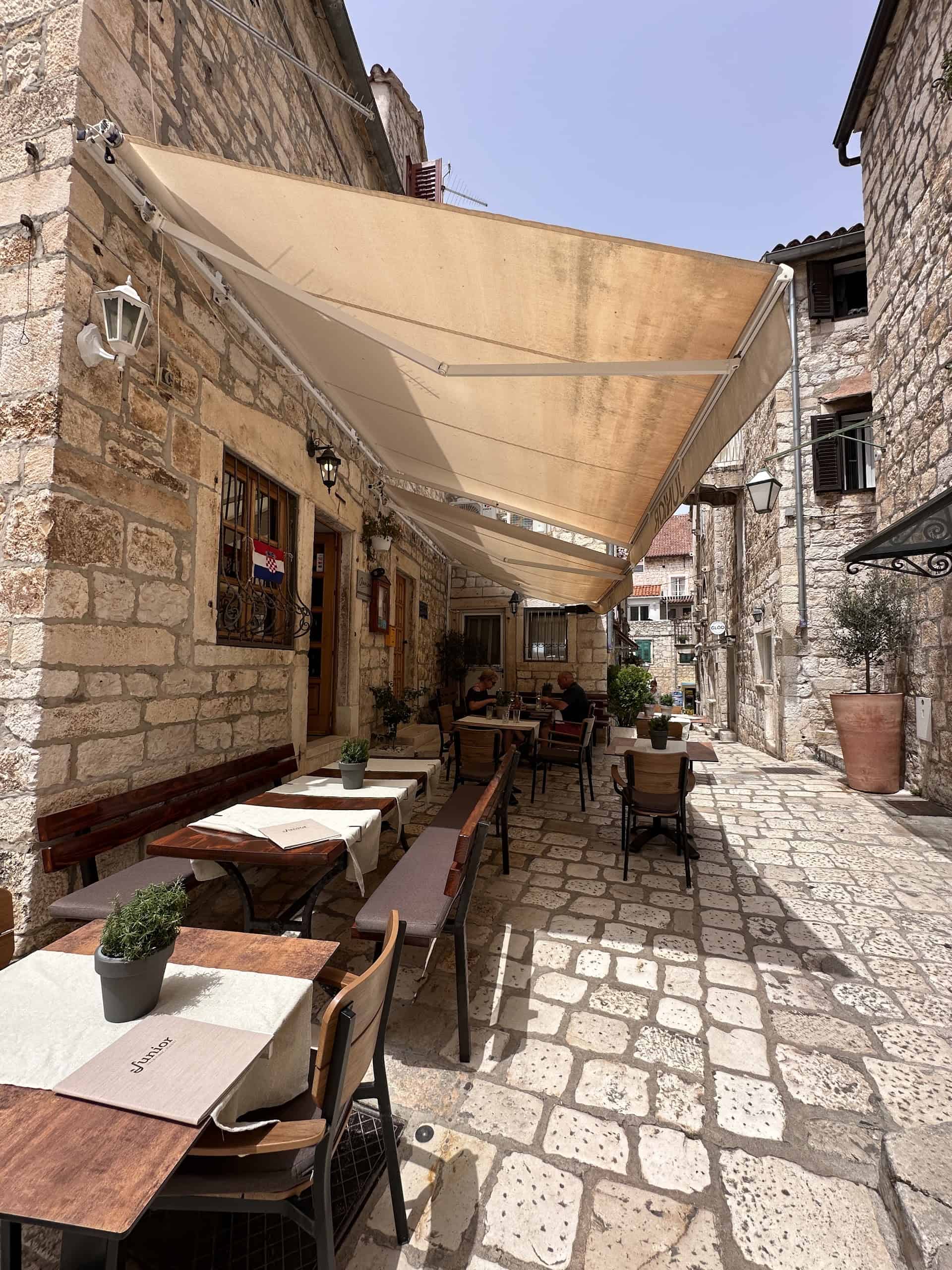 Junior on Hvar Island, Croatia