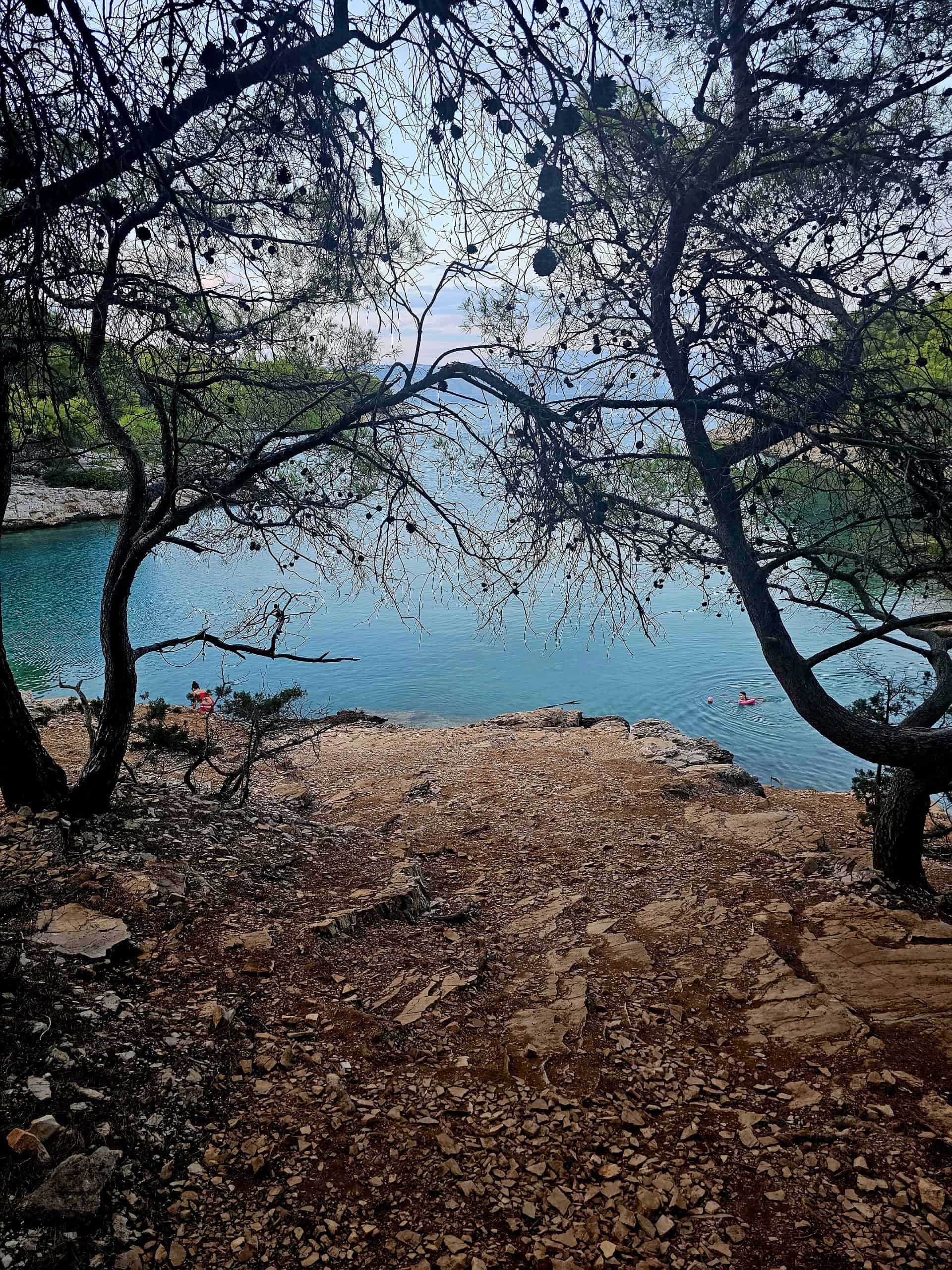 Vrboska pinewood beach, Hvar photo 1