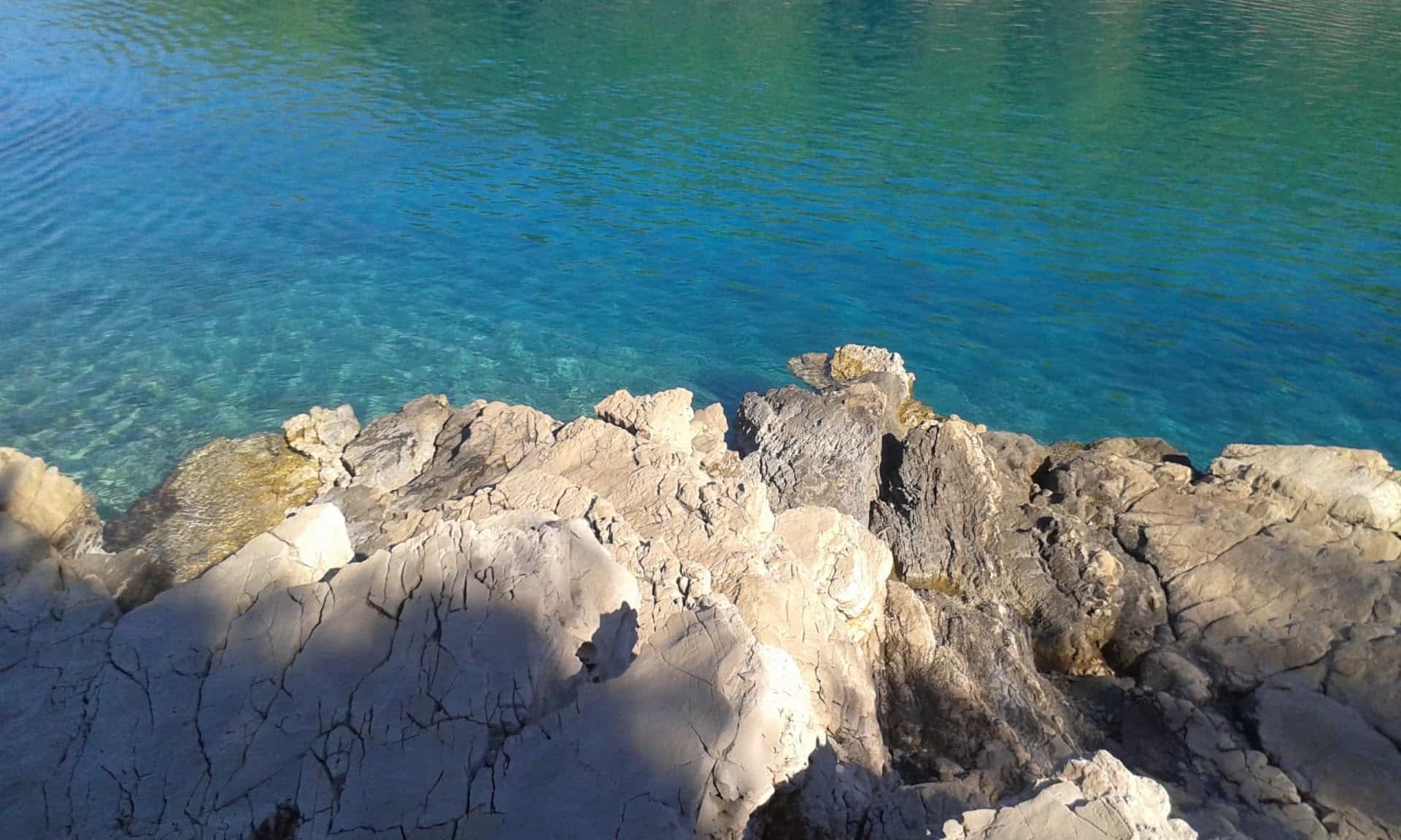Vrboska pinewood beach, Hvar photo 2