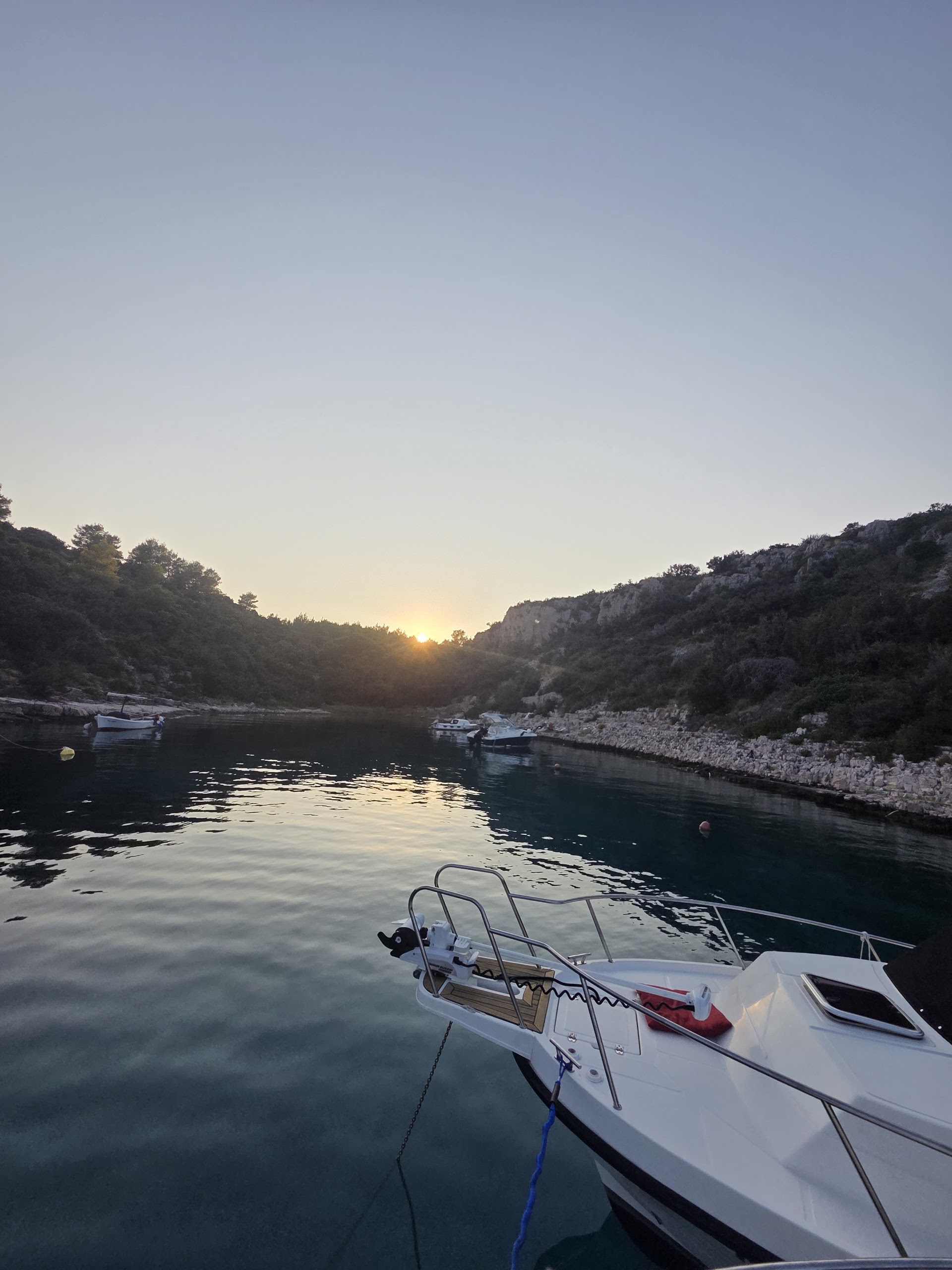 Vrboska pinewood beach, Hvar island, Croatia - photo 5