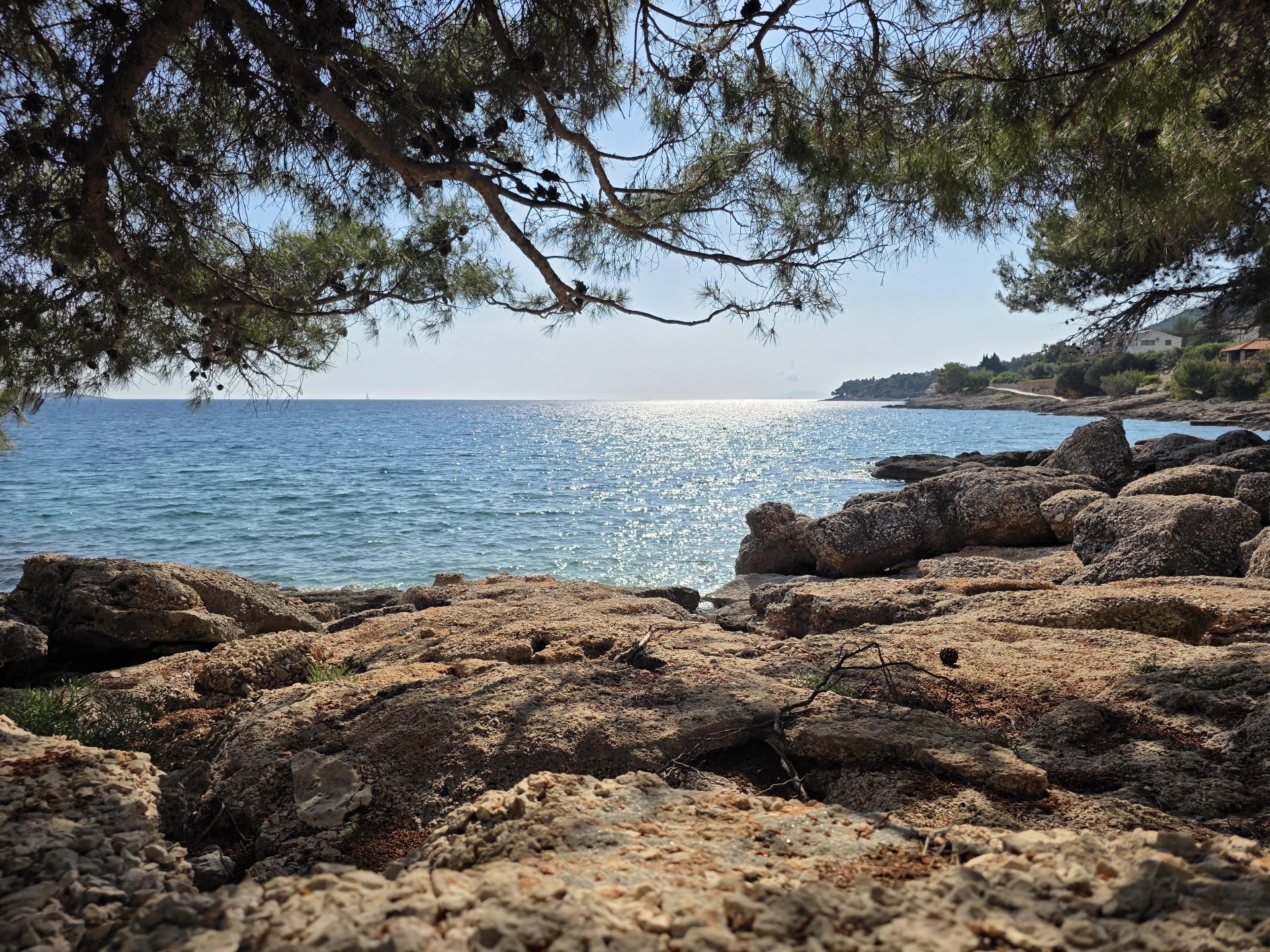 Zavala beach, Hvar island, Croatia - photo 5